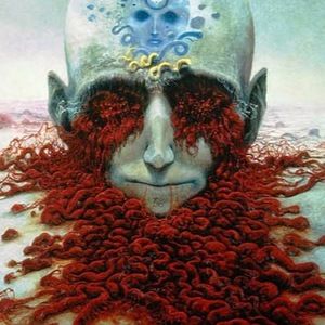 Meet your Posher, Brad